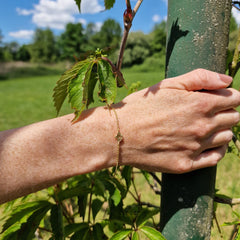 handgefertigtes-ginkgo-armband-am-handgelenk-getragen-mit-zarter-ankerkette-silber-vergoldet-oder-echtgold-aus-unserer-goldschmiede-in-frankfurt-auch-in-fairtrade-gold-erhaeltlich